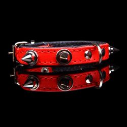 Punk Rock Collar
