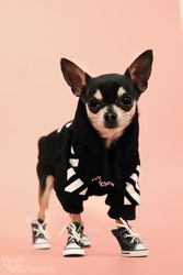 Woof Hoodie Svart Hundtröja
