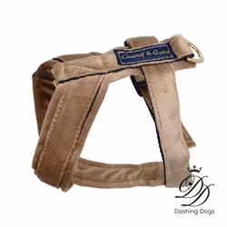 Gustaf & Evita Hundsele Pro Sammet, Mocca Strl. 5