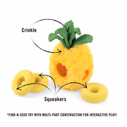 Tropical Paradise Paws Up Pineapple Hundleksak