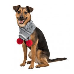 Hundhalsduk, julmotiv