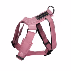 Gustaf & EvitaPro GROW Rosa