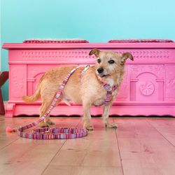 Pellina Hundsele Boho Pink