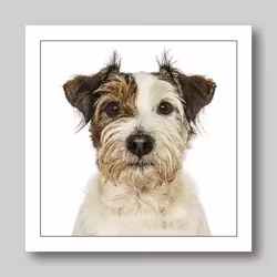 Födelsedagskort Terrier