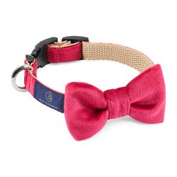 Halsband Bow-tie Magenta