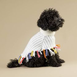 Rainbow Fringe Alpaca Dog Poncho