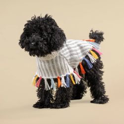 Rainbow Fringe Alpaca Dog Poncho