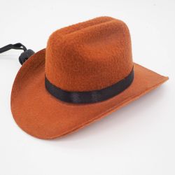 Cowboy Hatt för Hund
