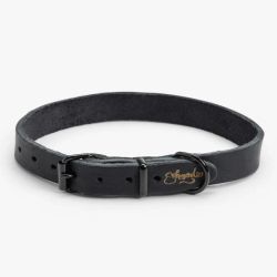 Schnoodie Hundhalsband Oiled Leather - Svart