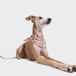 Cloud7 Bandana Hund Wild Blossoms Large