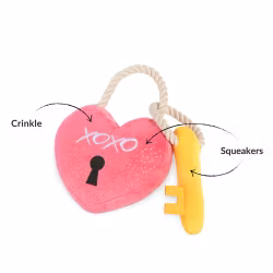 Lovebug Lock & Key Hundleksak