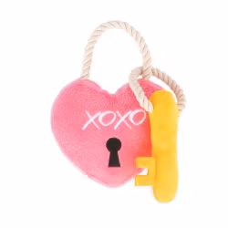 Lovebug Lock & Key Hundleksak