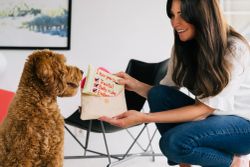 Lovebug Love Letter Hundleksak