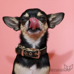 Fashion Flower Brown Collar