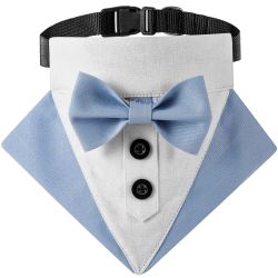 Tuxedo Collar Blue