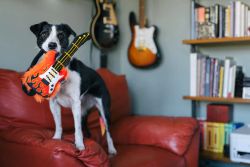 90s Classic - Electric Guitar