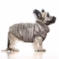 Milk & Pepper AKSEL vändbar hundjacka Grey Fur/Blue Velvet