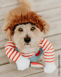 Halloweenkostym Chucky