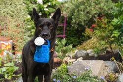Hundleksak Wagging Watering Can