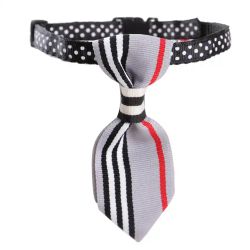 Slips Hund Grey