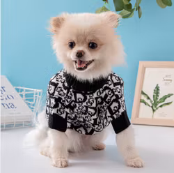 Dogior Sweater
