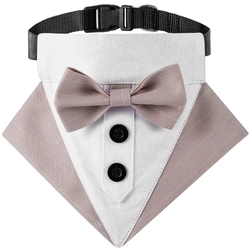 Tuxedo Collar Pink