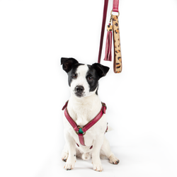 DWAM - Dog with a Mission LOU LOU DOG HARNESS