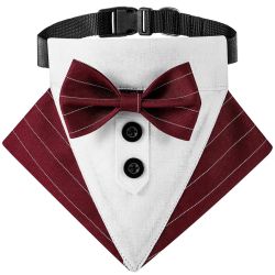 Tuxedo Collar Wine