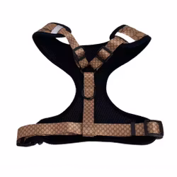 Fashion Letter Harness