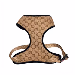 Fashion Letter Harness
