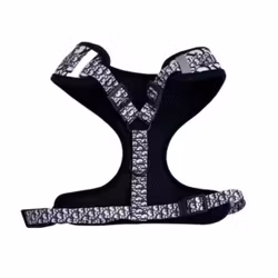 Dogior Harness