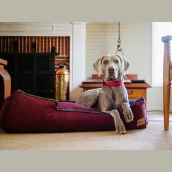 Hereford Bed - Shadow Red