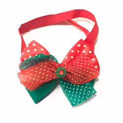 Christmas Bow, Dotty