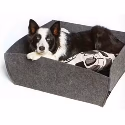 Noko Square Felt Bed - Cushion White/Black