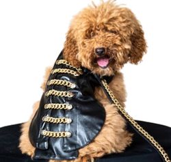Golden Chains Pet Coat