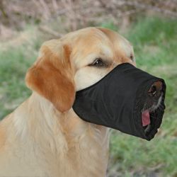 Munkorg hund Trixie