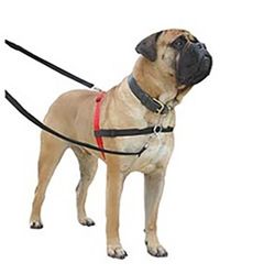 Halti Harness Anti-drag-sele