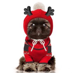 Milk & Pepper Reindeer Winter Sweater