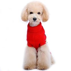 Snowland Sweater