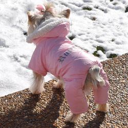 Winter 4-legged Cozy Suit, Pink