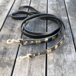 Genuine Alp Leash Black