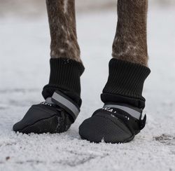 Walker Professional Hundsko 2-p