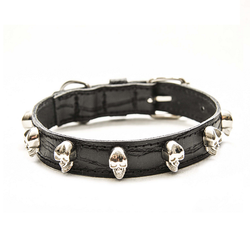 Dog Artist Cool Collar Black w Silver Skulls