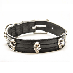 Dog Artist Cool Collar Black w Silver Skulls