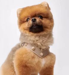 Exclusive Diamond Harness Beige