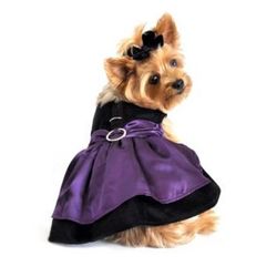 Purple Velvet Dress