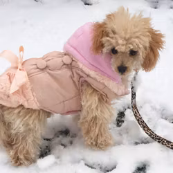 Elegant Fleece Coat w. Fur & Bow, Peach Pink