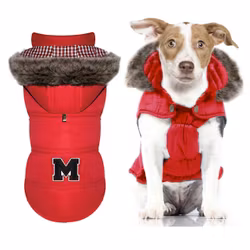 Hood Coat Red