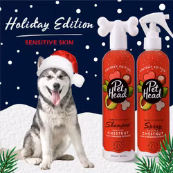 Pet Head Festive Roasted Chestnut Shampoo