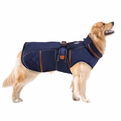 Royal Dog Coat Large Dogs
